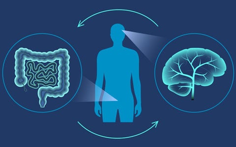 Asse microbiota-intestino-cervello: comprenderne il funzionamento per ipotizzare nuovi approcci terapeutici