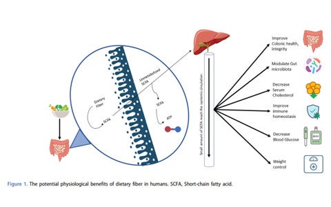 Use of fiber-containing enteral formula in pediatric clinical practice: an expert opinion review